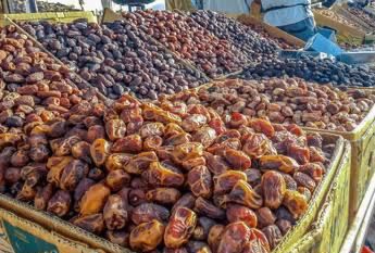 dates