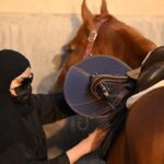 horse