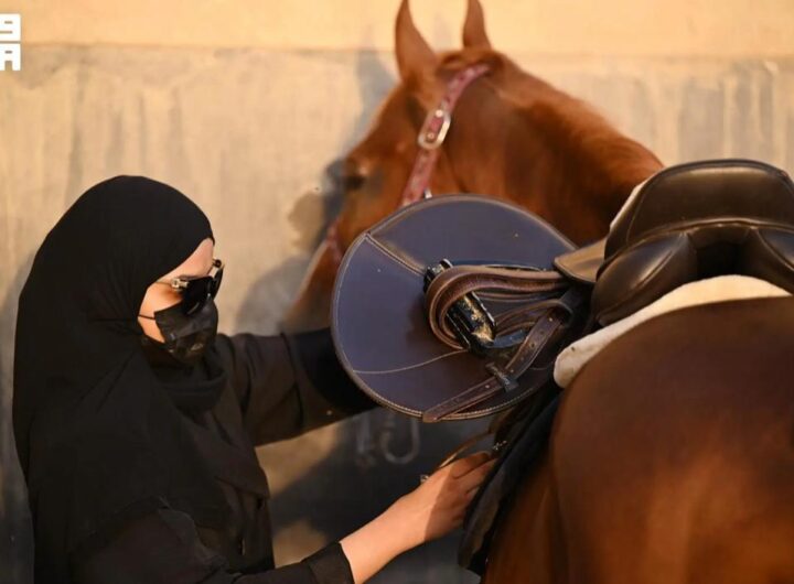 horse
