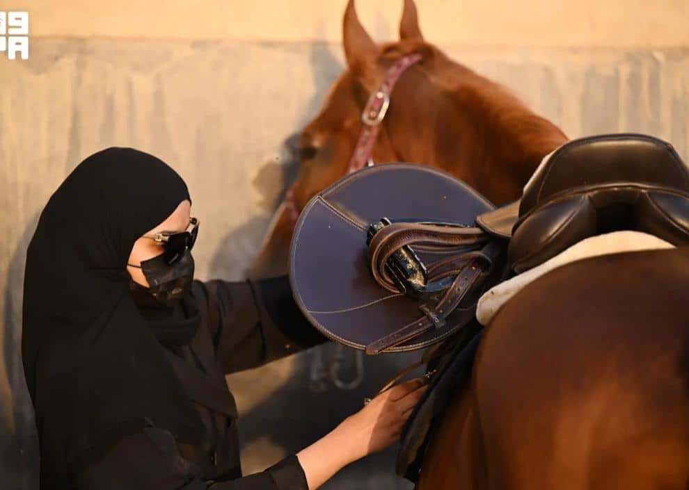 horse
